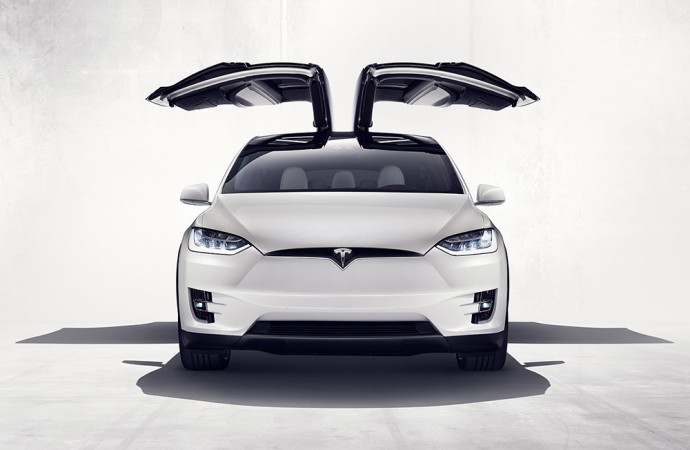 Tesla Motors Sues over Falon-Wing Door Failure