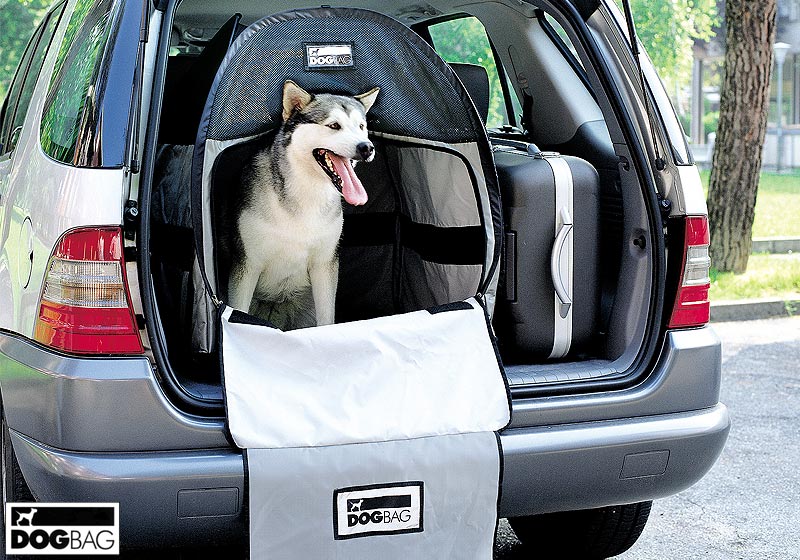 large dog carrier for car