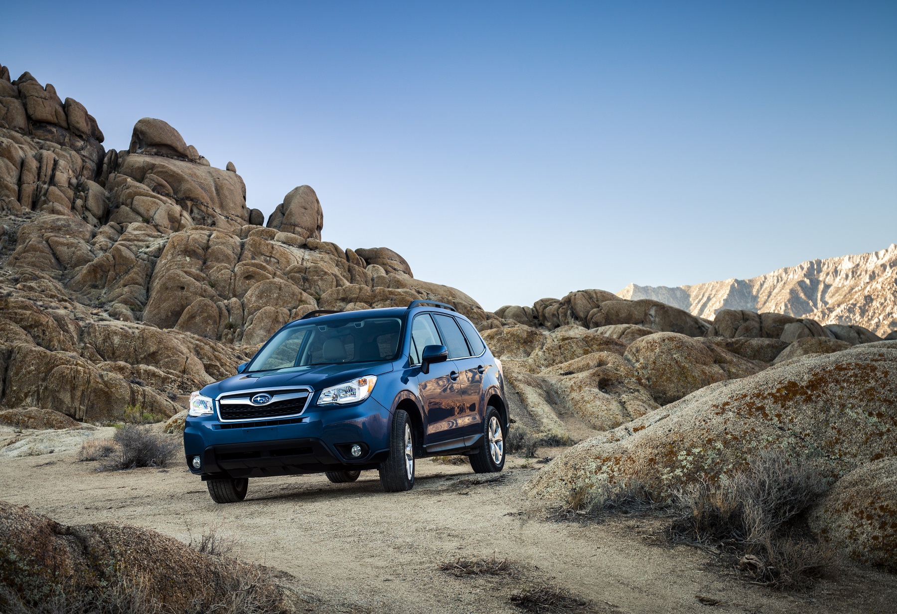 Subaru Forester: Crossover Toughness