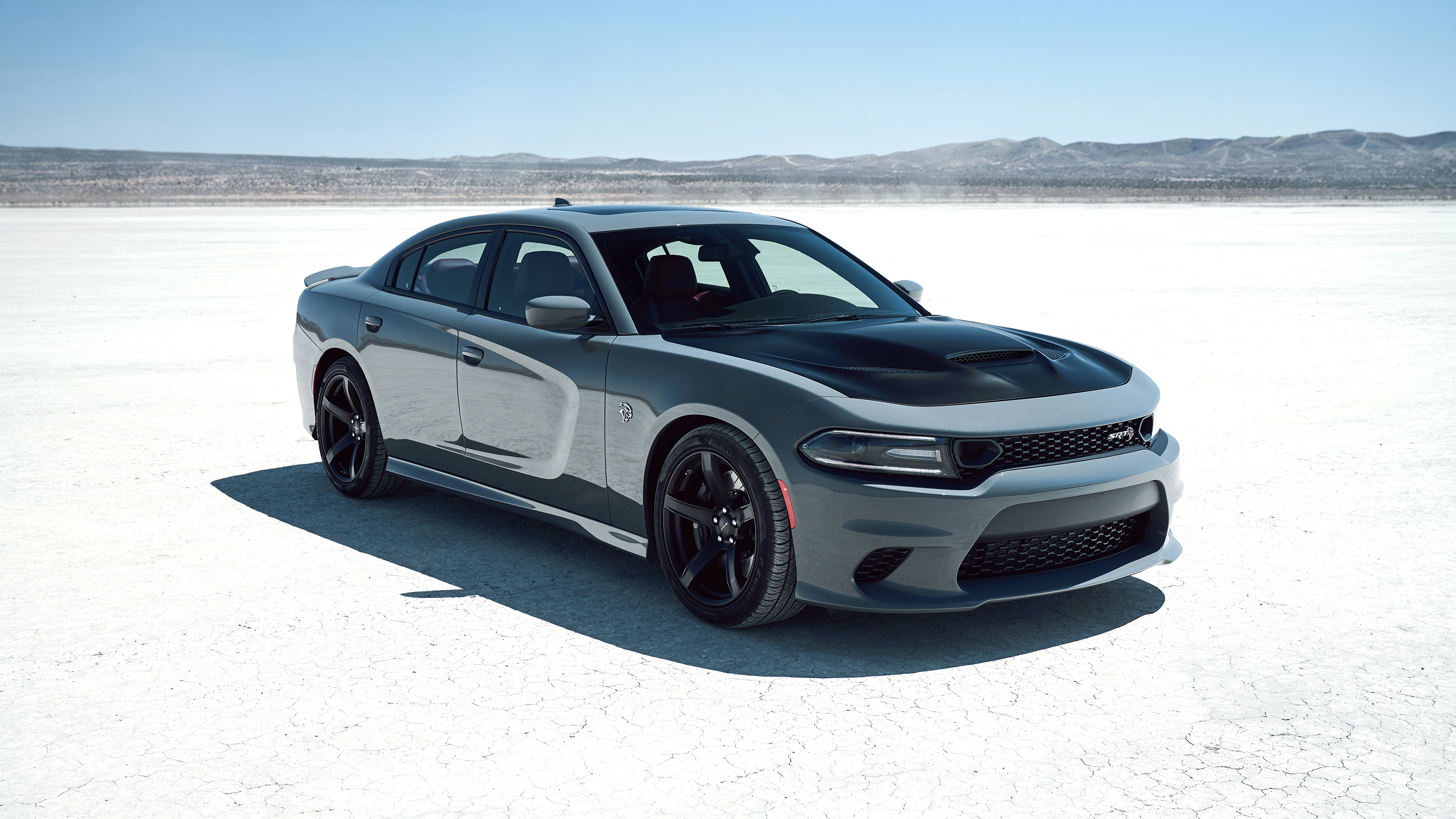 2019 Dodge Charger: A Muscle Car Through and Through